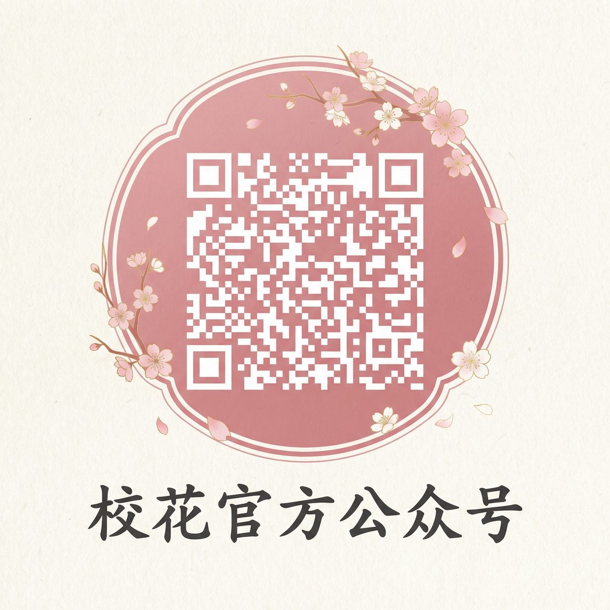 芒果视频传媒微信公众号二维码扫码关注